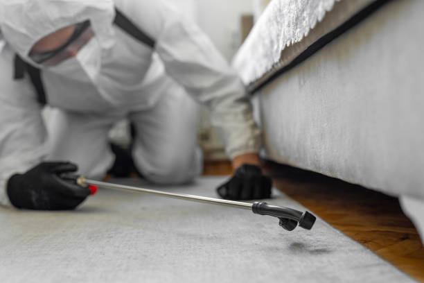 Professional Bed Bug Control technician working in Rocky Mount, VA