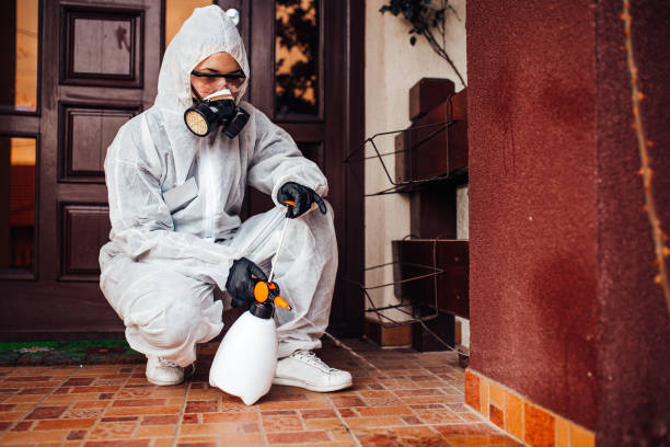 Reliable Bed Bug Control contractor in Rocky Mount, VA by Nex Pest Control